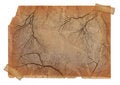 Free Page With Vintage Effect Royalty Free Stock Images - 12687319