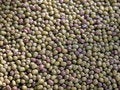 Free Mung Beans Royalty Free Stock Photography - 1274427