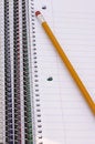 Free Notebooks And Pencil Royalty Free Stock Photo - 1276315