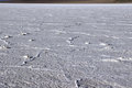 Free Salt Pattern Royalty Free Stock Photos - 1283018