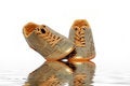 Free Golden Footwearon Stock Photography - 1283942