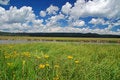 Free River And Elk Stock Photography - 1284622