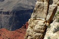Free Colors Of Grand Canyon Royalty Free Stock Image - 1284826