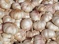 Free Pile Of Garlic Royalty Free Stock Image - 1285036