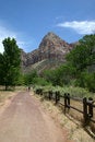 Free Mountain Hiking - Zion NP Royalty Free Stock Photo - 1286945