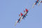 Free Landing Gear On Stock Photography - 1283662