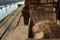 Free Port Royalty Free Stock Photos - 1285108