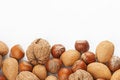 Free Assortment Of Nuts Stock Images - 12899644
