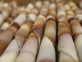 Free Tasty Chocolade Sticks Royalty Free Stock Photos - 1293328