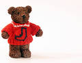 Free Bear In Sweater Stock Images - 133264
