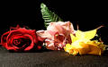 Free Flowers Stock Photo - 137400