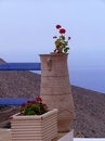 Free Pots Of Geranium, Greece Stock Images - 1303074