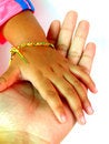 Free Small Hand Royalty Free Stock Image - 1305296