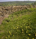 Free England Derbyshire Peak District National Park Matlock Stock Photo - 1306010