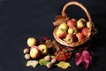 Free Cornucopia Royalty Free Stock Images - 1307169