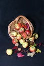 Free Cornucopia Royalty Free Stock Image - 1307266