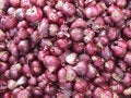 Free Onion Royalty Free Stock Photos - 1309578