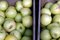 Free Crates Of Green Apples Royalty Free Stock Photos - 1309618