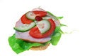 Free Sandwich 3 Stock Photography - 1311242