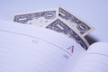 Free Notebook With Dollars Royalty Free Stock Image - 1312036