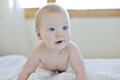 Free 6 Month Old Baby Boy Royalty Free Stock Image - 1314106