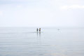 Free Calm Royalty Free Stock Photo - 1314125