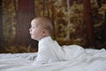 Free 7 Month Old Baby Boy Royalty Free Stock Photography - 1314177