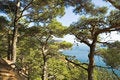 Free Sea Coast Royalty Free Stock Photo - 1319815