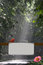 Free Forest Road With Blank Sign Stock Photography - 1312852