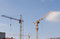 Free The Cranes Stock Photo - 1313640