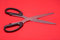 Free Scissors Royalty Free Stock Images - 1314349