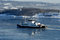 Free Winter On The Sea Royalty Free Stock Photography - 1315097
