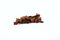 Free Cloves - Side View Stock Photography - 1316752