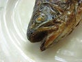 Free Fried Fish. Expressive Pose. Royalty Free Stock Images - 1321709