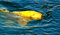 Free Japanese Koy Fish Surfaceing 2 Stock Image - 1322661