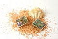 Free Shell And Earrings On Beachsand Royalty Free Stock Photos - 1333588