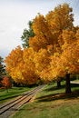 Free Autumnal Trees By Rail Track Royalty Free Stock Photo - 1335015
