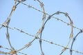 Free Razor Wire 1 Royalty Free Stock Images - 1338559