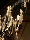 Free Smoked Fish Stock Photography - 1339322