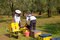 Free Bee Boxes And  Bee Keepers 3 Stock Images - 1334514