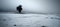 Free Winter Tree Stock Photos - 1339703