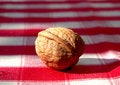 Free Wallnut Stock Photo - 1344480