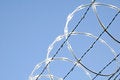 Free Razor Wire 3 Royalty Free Stock Photography - 1344777