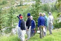 Free Hikers Looking Up Mt Rainier Royalty Free Stock Images - 1345929