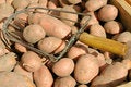 Free Potatoes Royalty Free Stock Photo - 1346785