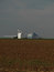 Free Grain Storage In West Texas Stock Image - 1344911