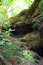 Free Forest Path Stock Image - 1345041
