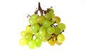 Free Grapes 4 Royalty Free Stock Photo - 1350785