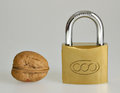 Free Closed Padlock Stock Image - 1351951