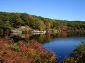 Free Small Pond In Harriman State Park, NY Stock Image - 1352051